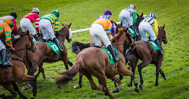 Crack the Code on Horse Racing Betting Odds